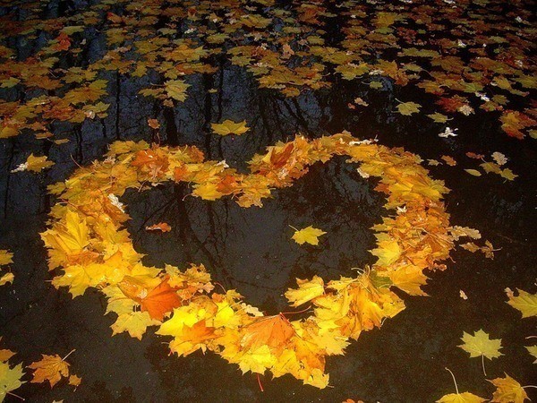 Create meme: autumn is beautiful, heart of autumn leaves, autumn rain love