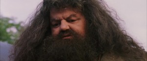 Create meme: Hagrid GIF, Hagrid evil, Hagrid from Harry