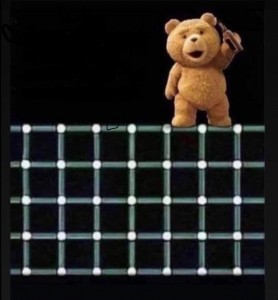 Create meme: bear Ted