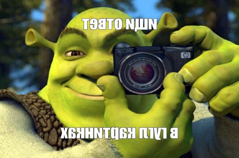 Create meme: Shrek meme template, Shrek the camera original, meme Shrek 