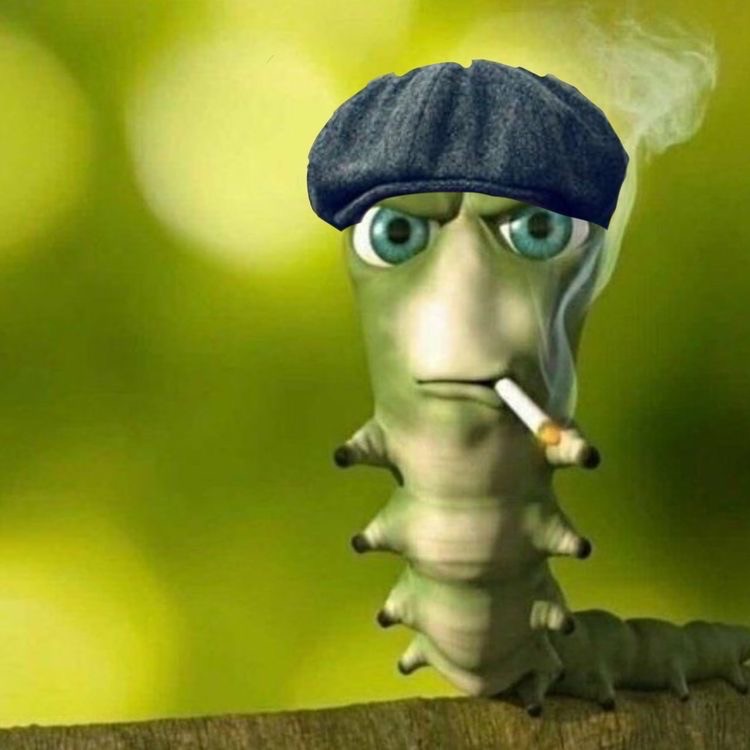 Create meme: funny caterpillar, caterpillar with a cigarette meme, the smoking caterpillar