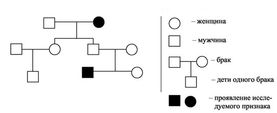 По изображенной на рисунке родословной человека определите и объясните характер проявления признака