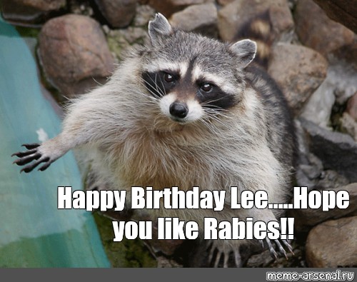 Meme Happy Birthday Lee Hope You Like Rabies All Templates Meme Arsenal Com