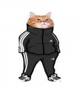 Create meme: a cat in a tracksuit, cats in adidas, the cat in the Adidas