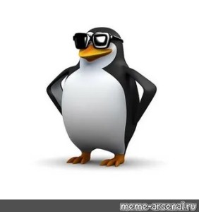 Create meme: the penguin meme, cool penguin, evil penguin meme
