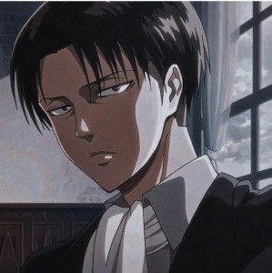 Create meme: Levi Ackerman, figure, Levi Ackerman