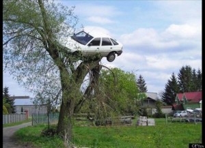 Создать мем: автомобиль, машина повисла на дереве, автомобиль машина