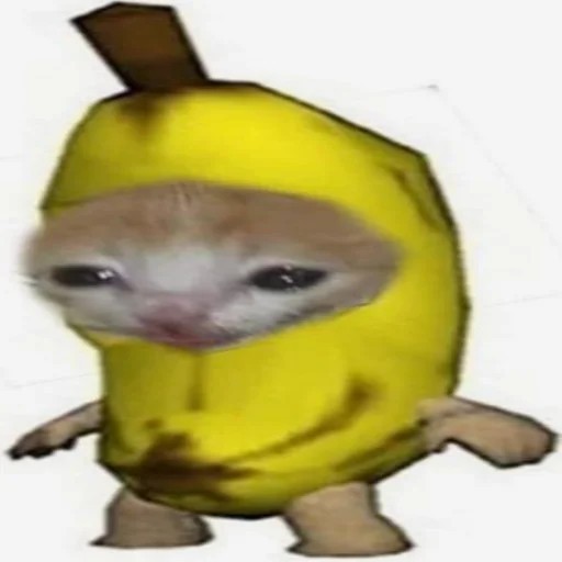 Create meme: mayot 163onmyneck bananas, crying cat banana, banana cat
