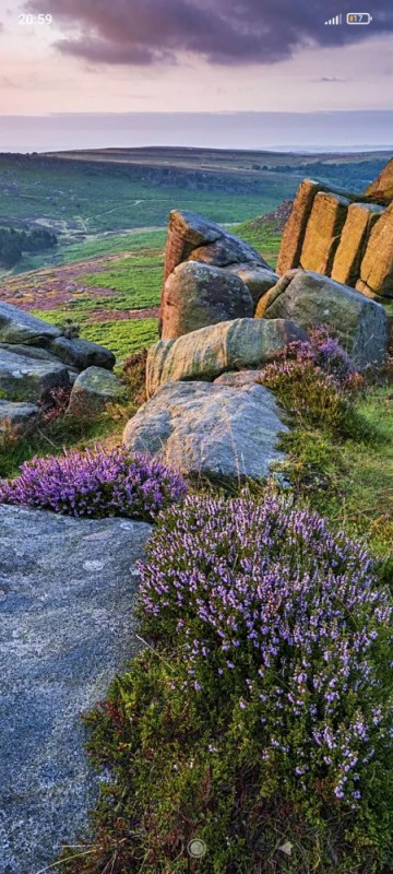 Create meme: the moorlands of scotland, peak district national park, heather fields in scotland