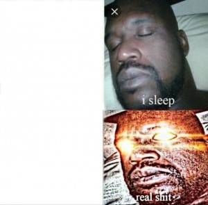 Создать мем: i sleep meme, i sleep real sheet мем, i sleep