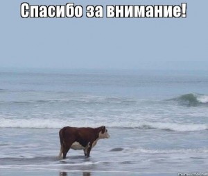 Создать мем: мем корова, корова смотрит на море, корова на берегу