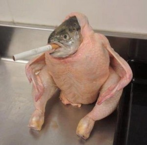Создать мем: weird, fish, funny chicken
