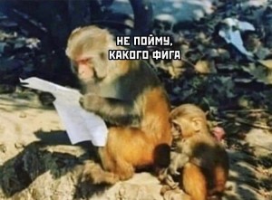 Create meme: I don't know how to do the monkey, Text