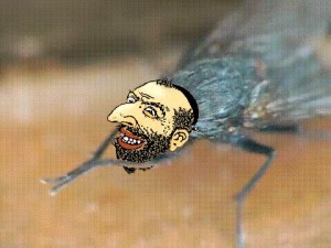 Создать мем: муха потирает лапки, насекомые, муха с человеческим лицом