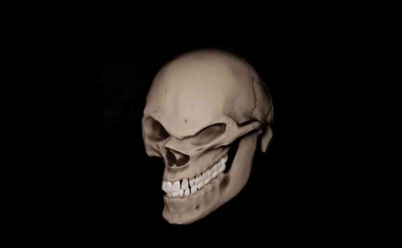 Create meme: skull , skull bones, the human skull