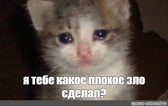 Create meme: sad cat meme, sad cat meme with tears, the cat is crying 