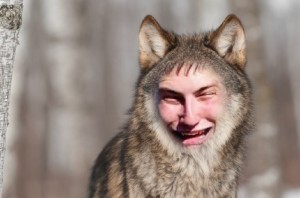 Create meme: meme wolf, wolf full face, wolf