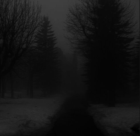 Создать мем: мрачный лес черно белый, темные фотографии, мрачные фотографии