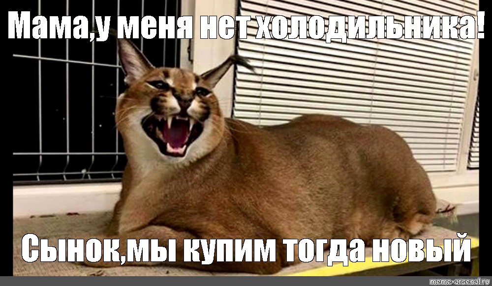 Тогда нова