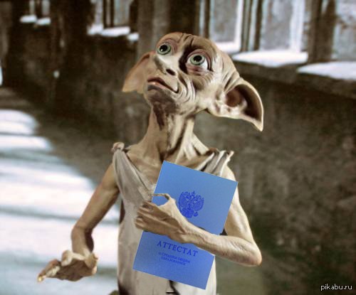 Create meme: Dobby is now free, Dobby's free from Harry Potter, Dobby from Harry Potter