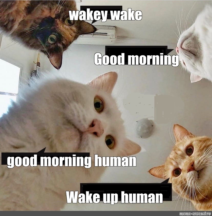 waking up in the morning meme