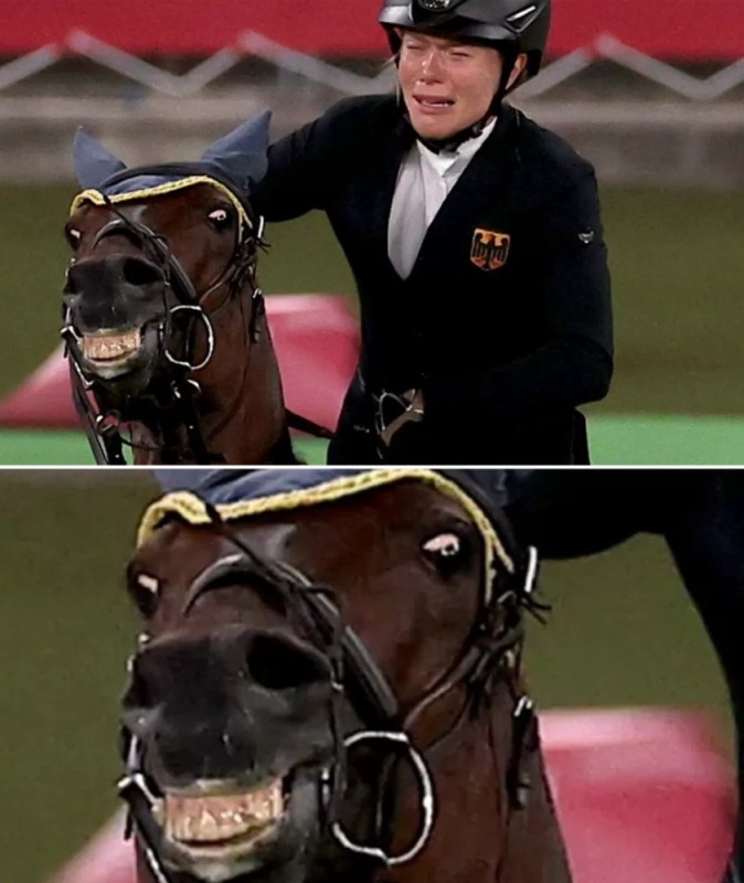 Create meme: A meme with a horse, Annika Schleu the horse, horses equestrian sports