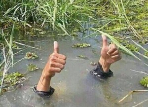 Создать мем: swamp, thumbs up, drowning