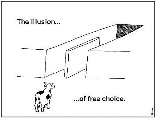 Создать мем: illusion of choice, the illusion of free choice, иллюзия выбора мем