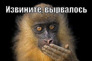 Create meme: national geographic hd, monkey