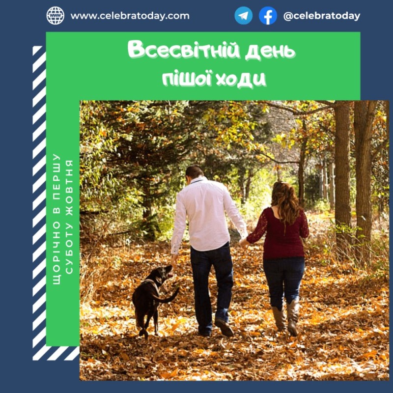 Create meme: A walk in the forest, walking with the dog, walking with the dog