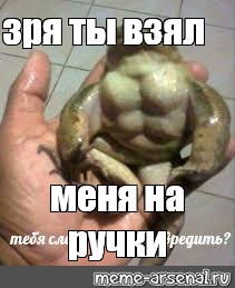 Создать мем: null