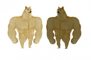 Create meme: Jock, muscular dog, Jock the dog and you learn