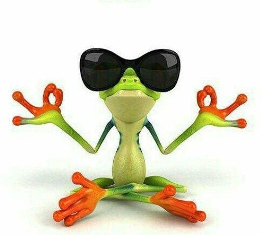 Create meme: frog in sunglasses