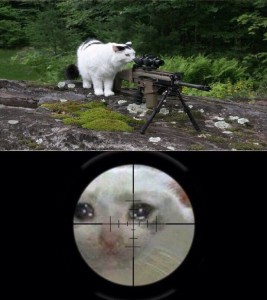 Создать мем: снайпер, снайпер мем, кот снайпер