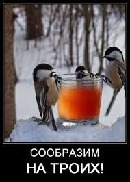 Create meme: realized for three, winter good morning, Good winter morning with the birds