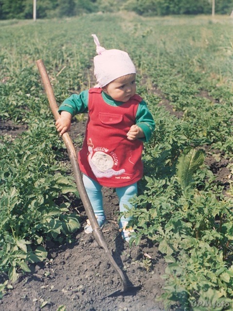 Create meme: weeding the garden, weed the garden, hoeing potatoes