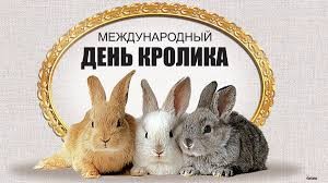 Создать мем: кролик с днем рождения, международный день кролика (international rabbit day)., для кролика