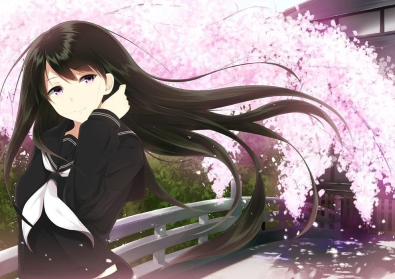 Create meme: anime , beautiful anime girl, anime girl with black hair