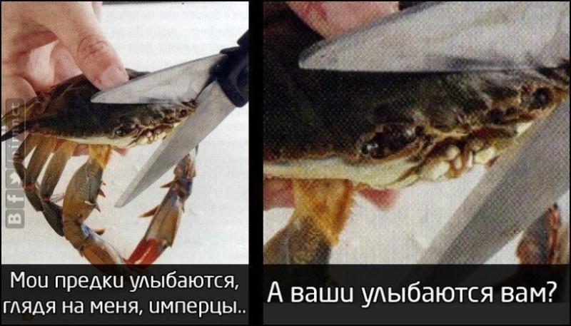 Создать мем: мои предки улыбаются глядя на меня, the crab, краб мои предки улыбаются