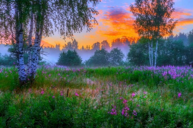 Create meme: summer dawn, dawn in the Russian nature, the beauty of Russian nature