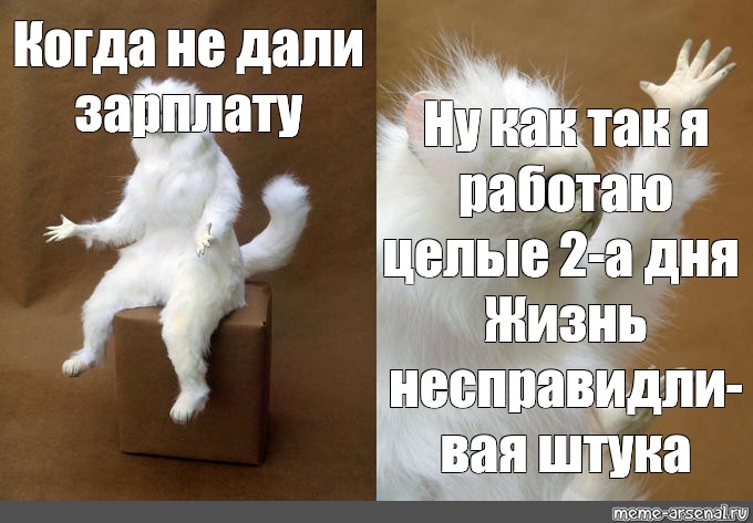 Кормил ца наста вая