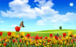 Create meme: summer landscape, field of tulips, sky flowers