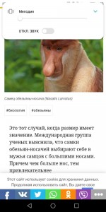 Создать мем: носатая обезьяна, funniest proboscis monkey pics, фотка с комментариями