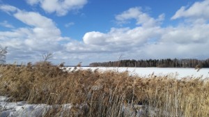 Create meme: land, village on the banks of the river, spring in elk island