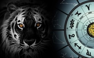 Create meme: horoscope, tiger