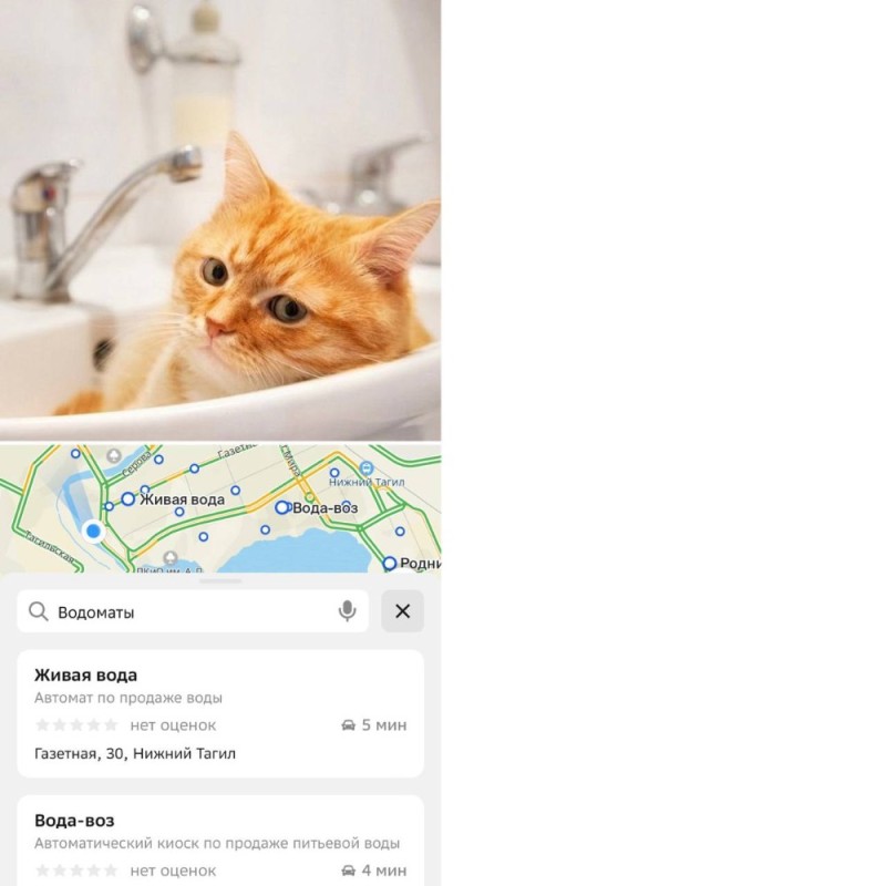 Создать мем: кот в раковине, кошка в ванной, котики