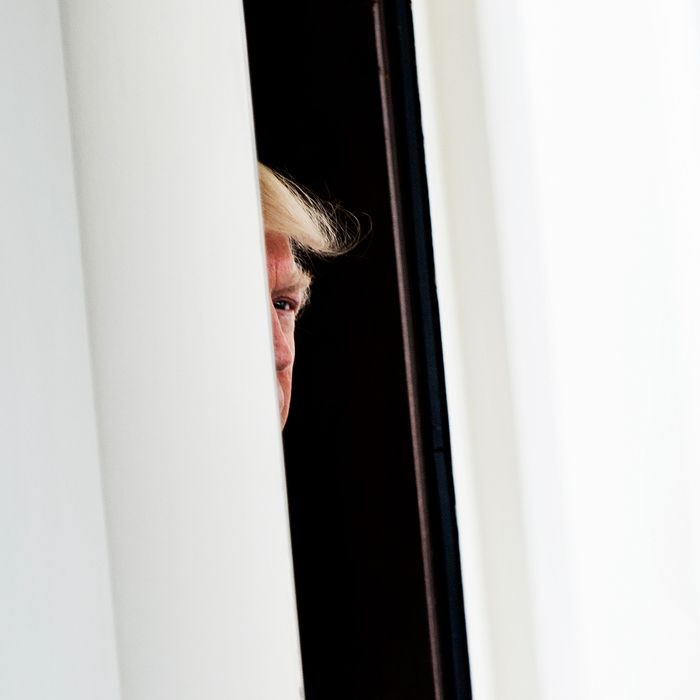 Create meme: Donald trump , peeking from the corner, Trump peeks around the corner