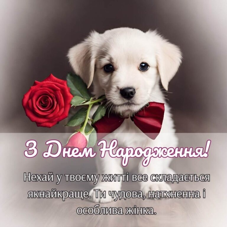 Create meme: privtae s day narodzhennya, happy birthday greetings in Ukrainian, dogs