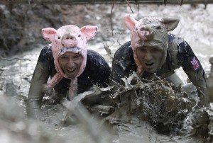 Create meme: pig, dirt, pig in the mud