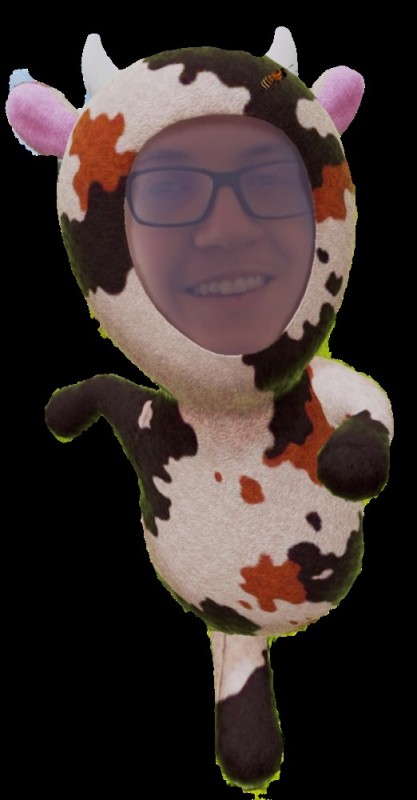 Create meme: cow , toy , A toy with your face